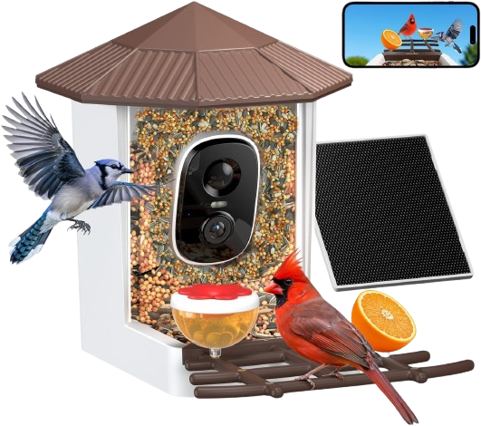 Smart Bird Feeders for Outdoors Solar Powered