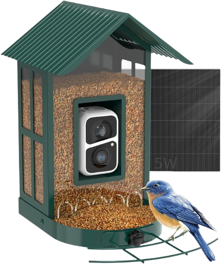 Bird Feeder with Camera, AI Identify Species